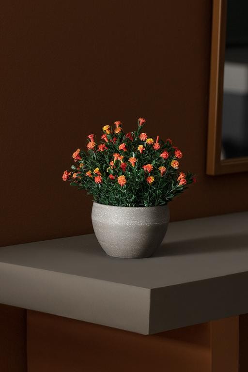  Coralie Saksılı Çiçek