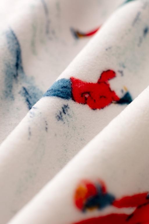 Xien Welsoft Polar Baskılı Tek Kişilik Battaniye - Renkli